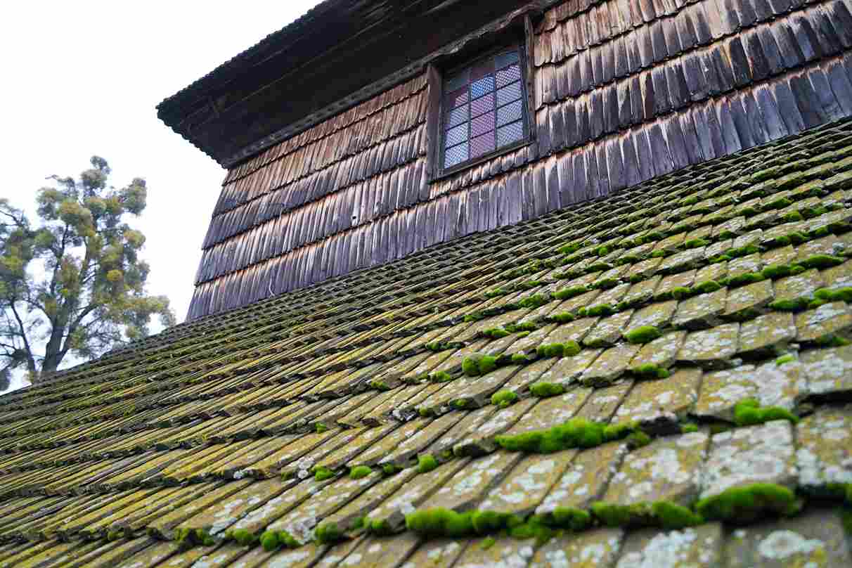Roof Moss Removal