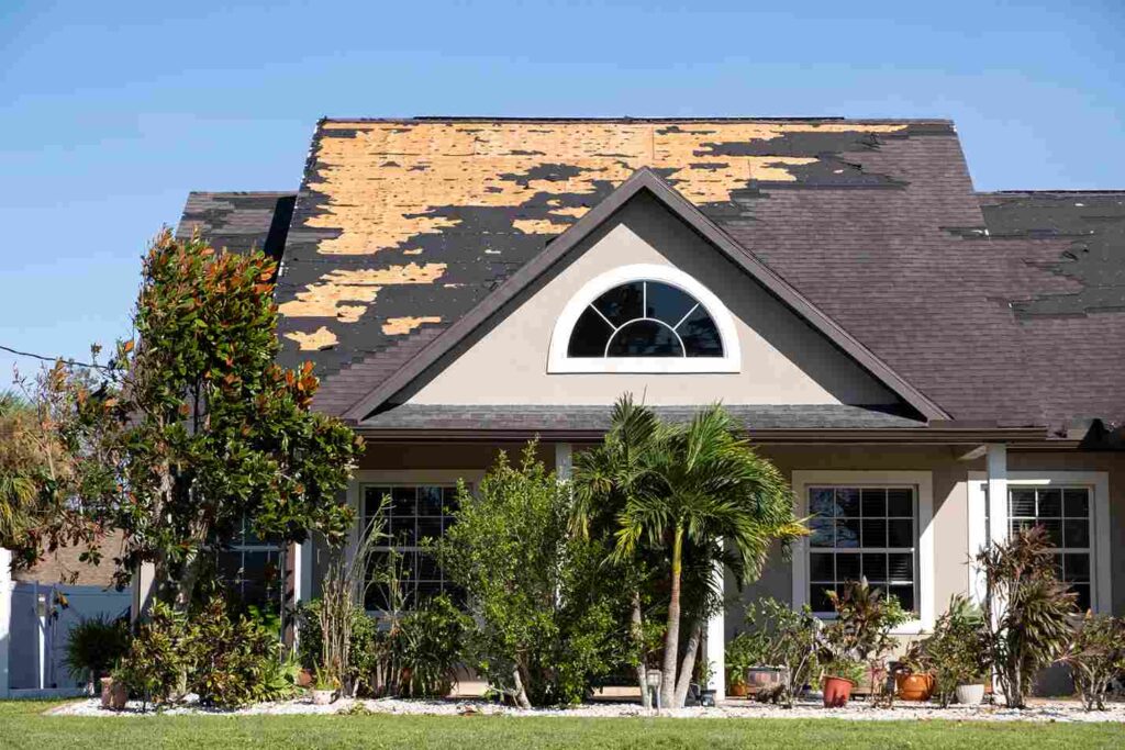 Hail Damage
