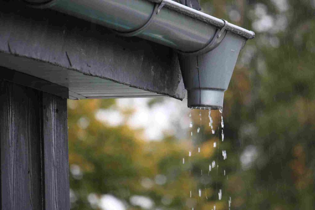 Clogged or Overflowing Gutters
