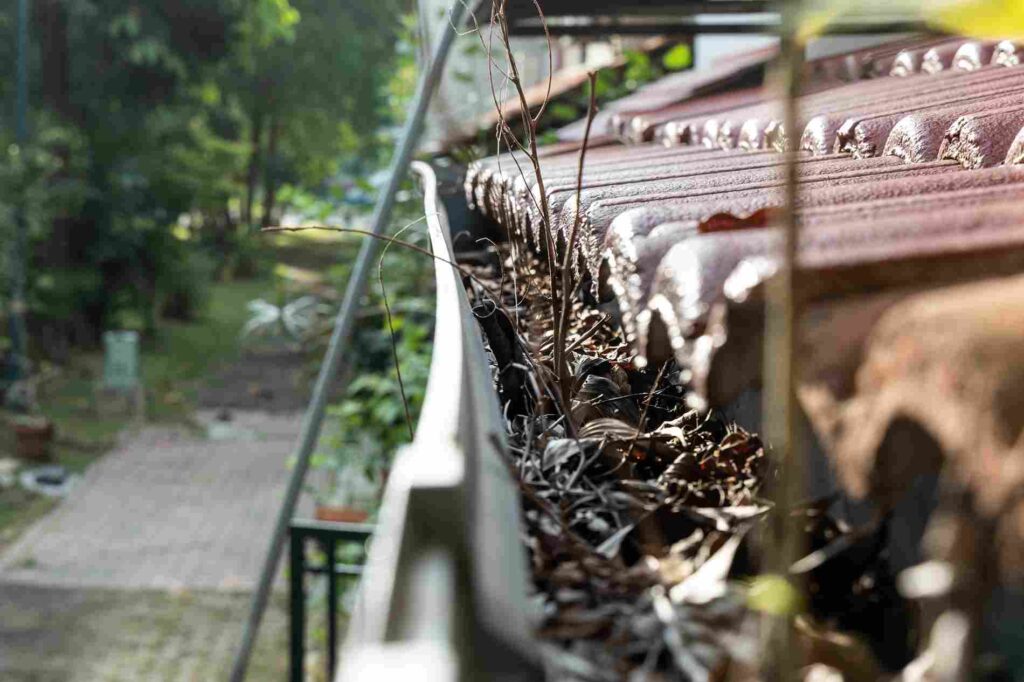Signs Your Gutters Need Cleaning ​